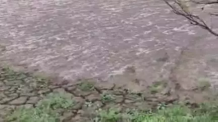 पंडरिया: जिले की सबसे बड़ी हाफ नदी में आया साल का पहला बाढ़, सोशल मीडिया पर वीडियो जमकर हो रहा वायरल