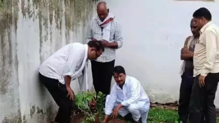 छतरपुर: निवारी गांव की सेवा सहकारी समिति के परिसर में हुआ वृक्षारोपण!