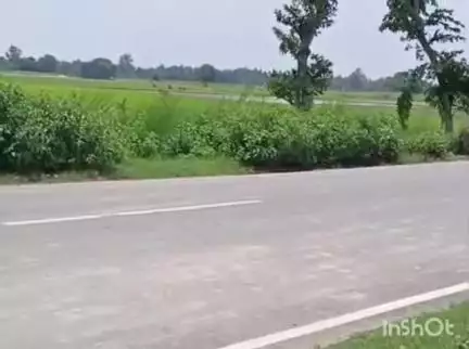 हरदोई: पिहानी के अब्दुल्ला नगर में करीब दस वर्ष का बच्चा बिना हेलमेट के मोपेट चलाते हुए नजर आया, वीडियो हुआ वायरल