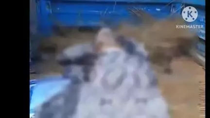 छपरा: छपरा-सिवान मुख्य पथ पर सड़क हादसे में घायल ऑटो चालक की मौत, सदर अस्पताल में हुआ पोस्टमार्टम