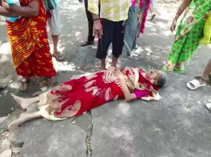தென்காசி: அருவியில் ஆசையாய் குளிக்க வந்த மூதாடிக்கு காத்திருந்த பேரதிர்ச்சி - குற்றாலத்தில் நடந்த கொடூரம்