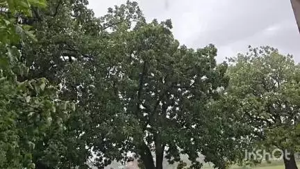 गढ़वा: गढ़वा में झमाझम बारिश से जनजीवन अस्त-व्यस्त, खेतों में जलभराव से किसान चिंतित