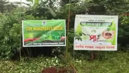 ଚମ୍ପୁଆ: ୱାର୍ଡ ନମ୍ବର ୪ ଉପ୍ରା ବିଦ୍ୟାଳୟରେ ବନ ମହୋତ୍ସବ ପାଳିତ