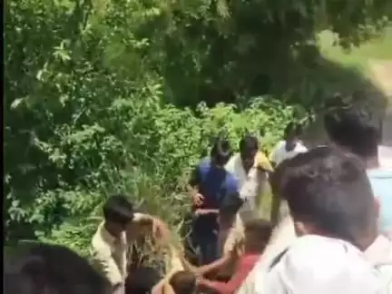 शेखपुरा: बरबीघा में कोचिंग से लौट रहे छात्रों को 10 बदमाशों ने बस से उतारकर पीटा, वीडियो वायरल