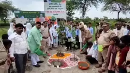 हसनपुर: हसनपुर के गांव बुरावली में वन विभाग द्वारा वन महोत्सव कार्यक्रम का आयोजन किया गया