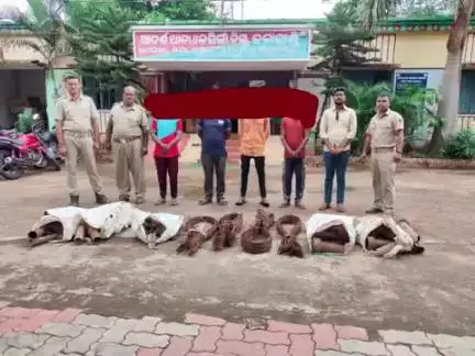 କେସିଙ୍ଗା: କେସିଙ୍ଗା ସ୍ପିନିଂ ମିଲରୁ ଚୋରି, ୫ ଜଣଙ୍କୁ କୋର୍ଟ ଚାଲାଣ କଲା ପୋଲିସ l