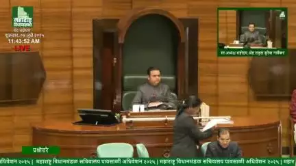 अमरावती: फायटोफ्थोरा रोगाचा प्रादुर्भावामुळे जिल्ह्यातील संत्रा उत्पादक शेतकऱ्यांचे मोठे नुकसान, आमदार सुलभा खोडके