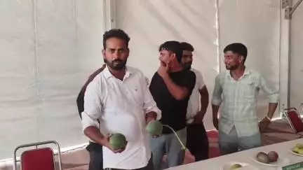 थानेसर: लाडवा के उप उष्णकटिबंधीय फल केंद्र में 7वें तीन दिवसीय फल उत्सव का एचओडी डॉ. अर्जुन ने किया उद्घाटन