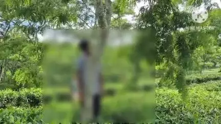 ধর্মনগর: মহেশপুরে চা বাগানের ভিতর থেকে উদ্ধার যুবকের ঝুলন্ত মৃতদেহ, খুনের অভিযোগ পরিবারের