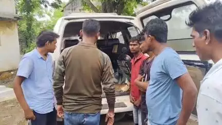 राळेगाव: खैरगाव जवादे गावात शिरलेल्या रोहीला पिसाळलेल्या कुत्र्याने केले जखमी, नागरिकांनी वाचविले प्राण