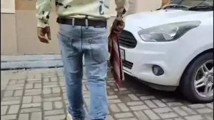 વડોદરા: સોસાયટીની અંદર આવી ગયેલા બેબી મગરની વોલીએન્ટર સાથે સંતાકૂકડી,એક નહીં પણ ત્રણ-ત્રણ વોલીએન્ટર પકડવા કામે લાગ્યા