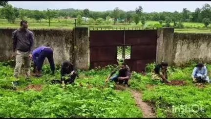 सोनहत: कलेक्टर के मार्गदर्शन और एसडीएम के नेतृत्व में सोनहत तहसील परिसर में किया गया पौधारोपण