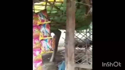उन्नाव: उन्नाव के अचलगंज थाना क्षेत्र में अवैध रूप से बिक रहा गांजा, वीडियो हुआ सोशल मीडिया पर वायरल