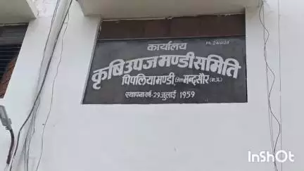 मल्हारगढ़: पिपलियामंडी मंडी में लहसुन की आवक बढ़ी, रविवार-सोमवार को अवकाश, किसान उपज न लाएं