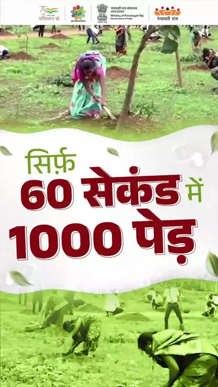 मात्र एक मिनट में एक हज़ार पौधों का सामूहिक रूप से रोपण | #महाराष्ट्र के #गोंदिया ज़िले के  #फुटाला ग्राम पंचायत