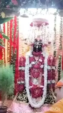 अलवर: अलवर में भगवान जगन्नाथ जी की ऐतिहासिक यात्रा शुरू, जिला कलेक्टर ने किया जलाभिषेक