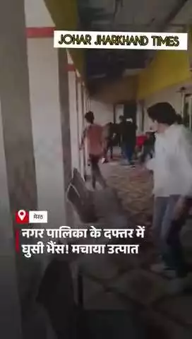 मेरठ के मवाना नगर पालिका #UttarPradesh #meerut #buffalo #Viral #ViralVideo #LatestUpdates#ranchi#bero#bharno