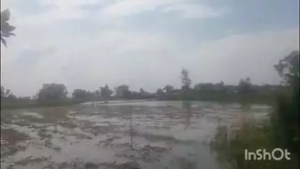 फर्रुखाबाद: नरौरा बांध से गंगा नदी में सुबह 38740 क्यूसेक और शाम को 42160 क्यूसेक पानी छोड़ा गया, जलस्तर 136.25 मीटर