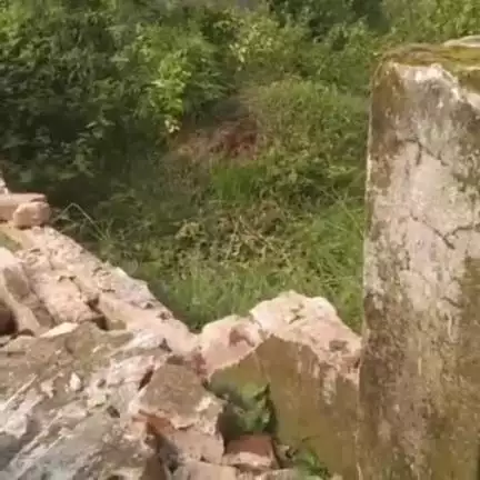 बरकागाँव: बड़कागांव के ऊपर महुदी में हाथियों का आतंक जारी, दसवें दिन भी कब्रिस्तान क्षतिग्रस्त