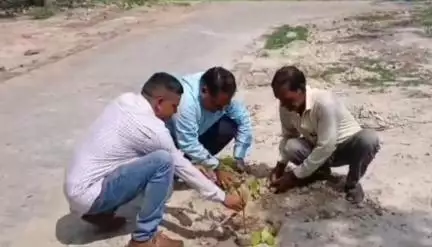 लालगंज: ठेकमा सीएचसी के प्रांगण में चिकित्सा प्रभारी के नेतृत्व में वृक्षारोपण किया गया, पर्यावरण संरक्षण का दिया गया संदेश