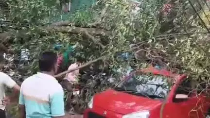 মেদিনীপুর: মেদিনীপুরে খবর সংগ্রহে গিয়ে আক্রান্ত সাংবাদিক, ভর্তি মেদিনীপুর হাসপাতালে