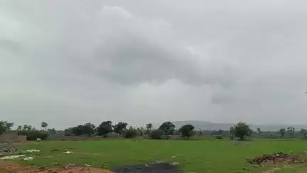 गडचिरोली: गडचिरोली जिल्ह्यात चार दिवस येलो अलर्ट व एक दिवस ऑरेंज अलर्ट घोषित