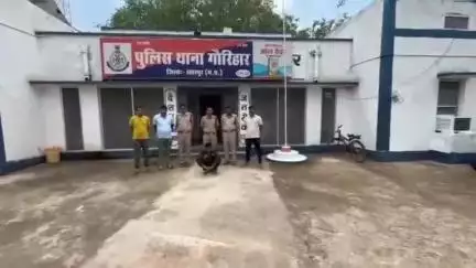 गौरिहार: गहबरा हत्याकांड: 5000 का इनामी पांचवां आरोपी गिरफ्तार, हत्या समेत तीन मामले दर्ज