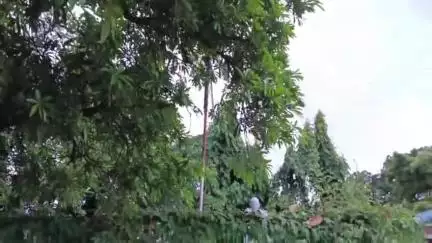 বহরমপুর: শহরে মনি ঋষীদের  মূর্তি ঢাকলো আগাছাই, অবহেলায় অনদরে পড়েরয়েছে মূর্তি, পৌরসভার দৃষ্টি আকর্ষণ  বহরমপুরের বুদ্ধিজীবীদের