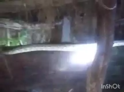 कैसरगंज: बहेलिया गांव में निकाला गया कई फीट लंबा जहरीला सांप, मचा हड़काम, वन विभाग को दी गई सूचना, वीडियो हुआ वायरल