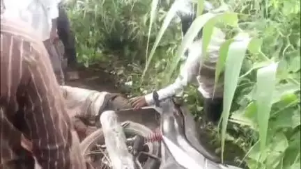 महाराजगंज: घुघली शिकारपुर मार्ग पर साईं मंदिर के पास भीषण सड़क हादसा, 4 घायल, 3 को जिला अस्पताल रेफर किया गया
