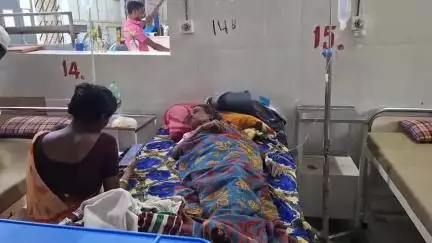 पाकरटांड: पाकरटांड के करंजटोली गांव में जहरीले सांप के काटने से 70 वर्षीय वृद्धा की बिगड़ी तबीयत, अस्पताल में भर्ती