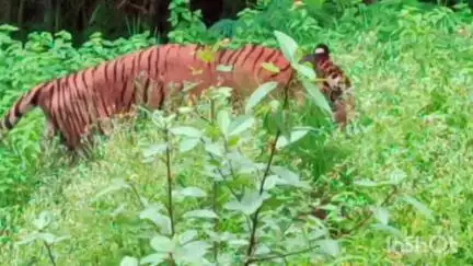गिर्वा: शनिवार को पर्यटकों के लिए बंद रहेगा सज्जनगढ़ अभ्यारण्य और जैविक उद्यान, श्रद्धालुओं की सुविधा के लिए लिया गया निर्णय