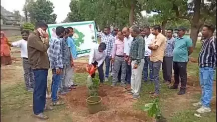 सुमेरपुर: हरियाला राजस्थान अभियान के तहत सुमेरपुर के सीबीएओ ऑफिस में नगर पालिका ने 225 पौधे लगाकर अभियान की शुरुआत की