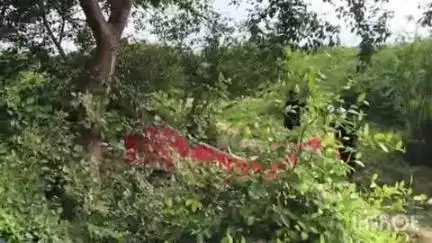 औरैया: सेगनपुर में सैंपल लेने के लिए प्रशासन, पुलिस और डॉक्टरों की टीम पहुंची, कब्र खुदवाकर लिए नाखून, बाल, दांत और बोन के अंश