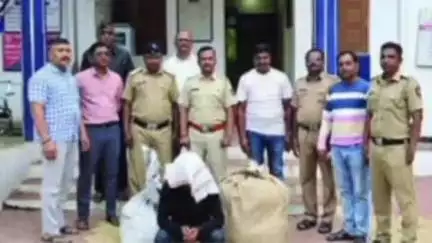 मलकापूर: देवधाबा ते रूईखेड रोडवर गुटख्याची वाहतूक करणाऱ्या एकास पोलिसांनी केली अटक, ८७ हजार ६४० रूपयांचा मुद्देमाल जप्त