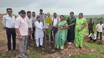 गांगड़तलाई: हरियालो राजस्थान अभियान के तहत गांगड़तलाई क्षेत्र में किया गया पौधारोपण, सुरक्षा का लिया गया संकल्प