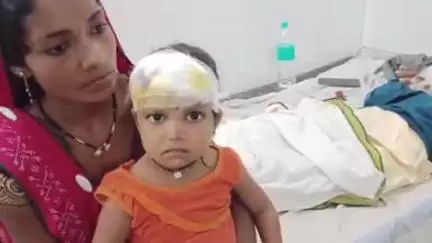 बांधवगढ़: करकेली बंना नाला के पास गाय से टकराई बाइक, पिता-पुत्री घायल, अस्पताल में भर्ती