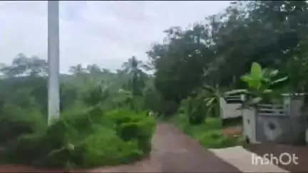 മണ്ണാർക്കാട്: യുവതിക്ക് നിപ, നിരോധനവും നിയന്ത്രണവുമായി തച്ചനാട്ടുകര ഗ്രാമപഞ്ചായത്ത്