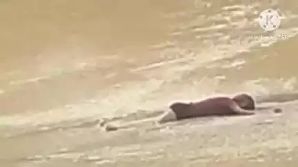 दुर्गुकोंदल: भंगाराम नदी कुरुषबोड़ी को पार करते समय 55 वर्षीय महिला की डूबने से हुई मौत
