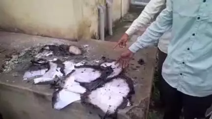 बड़वानी: अंजड़ के खाद विक्रय केंद्र पर किसानों के दस्तावेज अज्ञात व्यक्ति ने जलाए, किसानों को हुई परेशानी