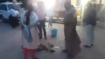 நிலக்கோட்டை: செம்பட்டி காவல் நிலையம் முன்பு, குட்டி போட முடியாமல்  உயிருக்கு போராடிய நாய். முதலுதவி செய்து கால்நடை மருத்துவமனைக்கு அனுப்பிய பெண் சப்-இன்ஸ்பெக்டர்