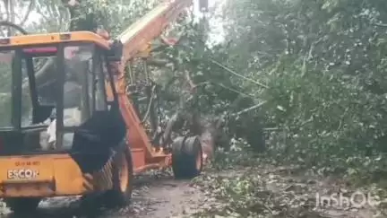 बालाघाट: बरगद का पेड़ हटते ही लामता-परसवाड़ा मार्ग हुआ बहाल, प्रशासन ने तत्परता से किया राहत कार्य