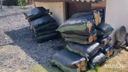 झंझारपुर: अदलपुर में पुलिस ने 576 लीटर नेपाली शराब की 1920 बोतलें बरामद कीं, मामला दर्ज