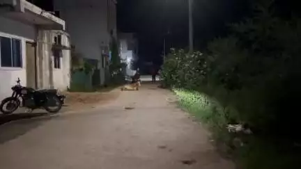 कांकेर: कांकेर में हाउसिंग बोर्ड कॉलोनी में तेंदुए के खौफ से पसरा सन्नाटा, लोग बच्चों को स्कूल भेजने से डर रहे हैं