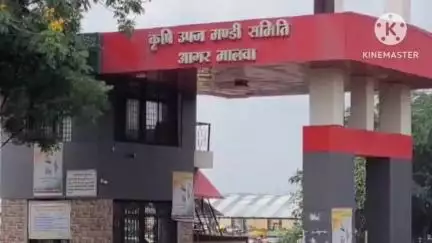 आगर: आगर कृषि उपज मंडी 2 दिनों के लिए रहेगी बंद, मंडी प्रशासन ने किसानों को दी सूचना