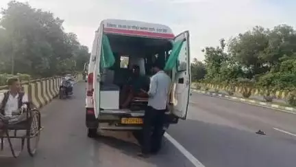 बिसवां: जलालपुर कस्बे में ओवरब्रिज पर जा रहे बाइक चालक के सामने अचानक गौवंश आ जाने से बाइक सवार युवक गंभीर रूप से घायल हुआ
