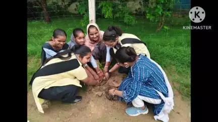 सवाई माधोपुर: सवाई माधोपुर के फ़तेह पब्लिक स्कूल में करमोदा के विद्यालयों में वृक्षारोपण कर दिया पर्यावरण संरक्षण का संदेश