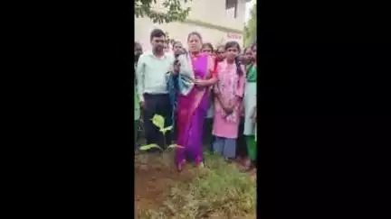 पांकी: बीजेपी महिला मोर्चा की प्रदेश कोषाध्यक्ष लवली गुप्ता ने हरिवंश नारायण बालिका उच्च विद्यालय में किया पौधारोपण