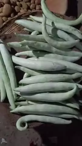 कैसा का उत्पादन कर अपनी आय बढ़ा रहे किसान, बाजार में बढ़ी डिमांड