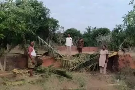 పుంగనూరు: పాతపేట సమీపంలో.మామిడి. అరటి. కొబ్బరి. చెట్లను ధ్వంసం చేసిన ఏనుగులు గుంపు.